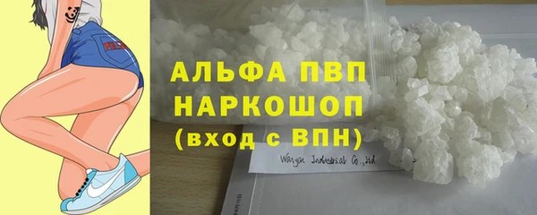 стаф Михайлов