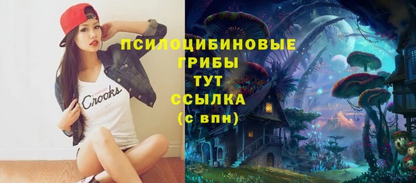 стаф Михайлов