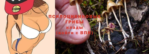 мяу мяу мука Михайловка