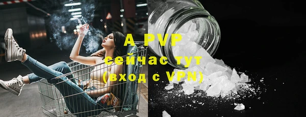 стаф Михайлов