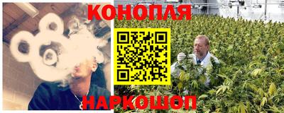 спиды Гусев