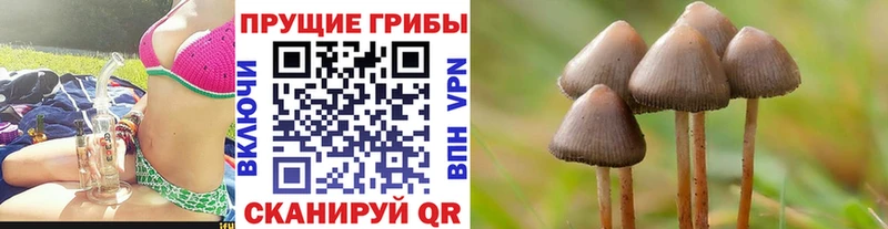 Псилоцибиновые грибы мицелий Шадринск
