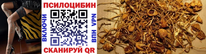 Псилоцибиновые грибы Magic Shrooms  Шадринск 