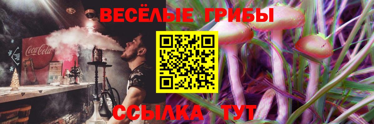 Псилоцибиновые грибы MAGIC MUSHROOMS Шадринск