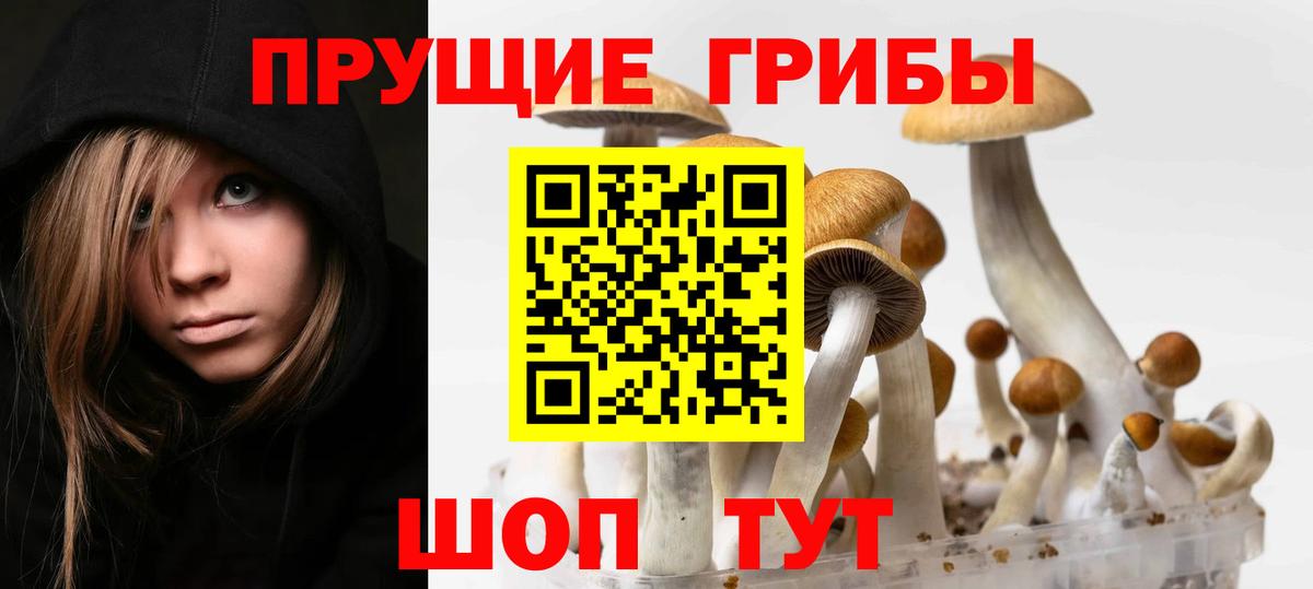 Амфетамин Шадринск